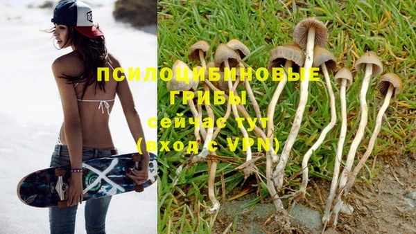 прущая мука Белоозёрский