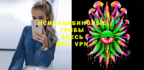 PSILOCYBIN Беломорск