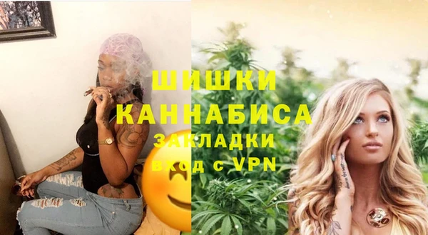 гашик Елизово