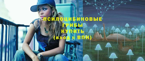 PSILOCYBIN Беломорск